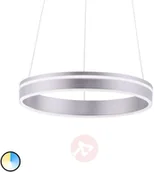 Systemy inteligentnych domów - Paul Neuhaus Inteligentna lampa sufitowa stal 40 cm z pilotem - Ronith - miniaturka - grafika 1