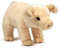 Figurki dla dzieci - Anna Club Plush ANNA Club acp16847  pluszowy figurka świnia 23 cm, pluszaki - miniaturka - grafika 1