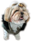 Ubranka dla psów - Ręcznie szyta kurtka exclusive khaki EXKH - miniaturka - grafika 1