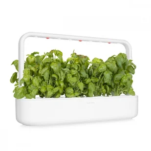 Click&Grow Kapsułki z nasionami Smart Soil 3 szt. bazylia 4742793007199 - Nasiona i cebule - miniaturka - grafika 8