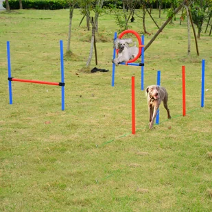 PawHut ZESTAW AGILITY SŁUPKI DO SLALOMU OBRĘCZ DLA PSÓW - Artykuły szkoleniowe - miniaturka - grafika 2