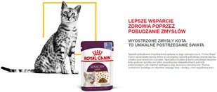 Royal Canin Sensory Taste karma mokra kawałki w sosie 12x85g 303420 - Mokra karma dla kotów - miniaturka - grafika 6