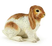 Figurki dla dzieci - Papo Królik Holland Lop - miniaturka - grafika 1