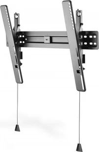 Digitus DA-90375 - wall mount (Ultra-Slim) DA-90375 - Inne akcesoria audio-wideo - miniaturka - grafika 2