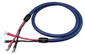 Kable - Cardas Audio Clear Speaker Kabel głośnikowy 2.5m - miniaturka - grafika 1