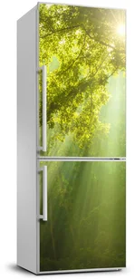 Naklejka Tapeta na lodówkę Słońce w lesie - Naklejki na drzwi i meble - miniaturka - grafika 2