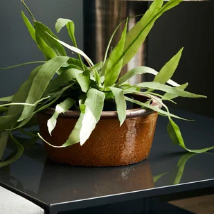 House Doctor Donica Whai L Donica Whai L - Donice - miniaturka - grafika 6