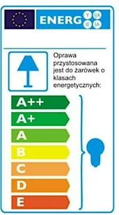 Shilo LAMPA sufitowa NATORI IL 6611/LED/CZ regulowana OPRAWA metalowa LED 20W do 3-fazowego systemu szynowego czarna 6611/LED/CZ - Lampy sufitowe - miniaturka - grafika 4