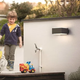 Philips Signify myGarden Kinkiet Hedgehog, 1 x 42 W, antracytowy, 1733793PN 1733793PN - Lampy ogrodowe - miniaturka - grafika 3