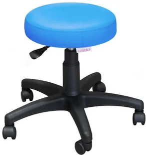 Kinesis Bh PL2 taboret medyczny regulowany na kółkach - Meble i wyposażenie gabinetów medycznych Kinesis Bh PL2 taboret medyczny regulowany na kółkach - Meble i wyposażenie gabinetów medycznych - miniaturka - grafika 1