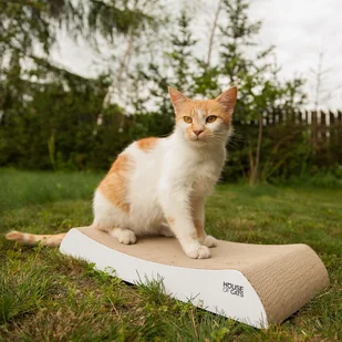 Purito Olejek do oczyszczania i demakijażu Nowość - Olejki do mycia twarzy - miniaturka - grafika 18