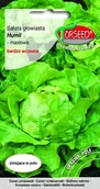 Nasiona i cebule - Torseed Nasiona Sałata Humil 0,5g Torseed6769 - miniaturka - grafika 1
