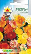 Nasiona i cebule - Toraf Nasiona kwiatów Eszolcja Kalifornijska 1g 00383 - miniaturka - grafika 1