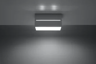 Sollux Lighting Lampa plafon Lobo Maxi, szara, 2x40 W - Lampy sufitowe - miniaturka - grafika 5