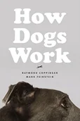 Obcojęzyczne książki naukowe - Raymond Coppinger; Mark Feinstein How Dogs Work - miniaturka - grafika 1