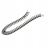 Wkręty - Wkręty na taśmach K/g drewno 3,5x35 1000 szt - miniaturka - grafika 1