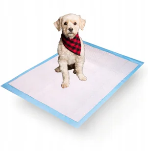 Podkłady Chłonne Mata Szkolenie Psa 40 x 60 25 szt - Maty do nauki czystości - miniaturka - grafika 2