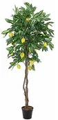 Sztuczne drzewka - Europalms Europalms Lemon Tree, 180cm, Sztuczne drzewo 82507816 - miniaturka - grafika 1