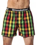 Bielizna sportowa męska - Horsefeathers bielizna męska APOLLO BOXER SHORTS rasta) - miniaturka - grafika 1
