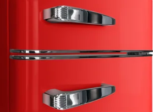 Lodówka Amica FK2965.3RAA - Lodówki - miniaturka - grafika 16