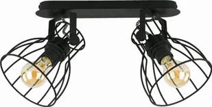 TK Lighting Plafon sufitowy 2pł ALANO BLACK 2121 TKL2121 - Lampy sufitowe - miniaturka - grafika 3
