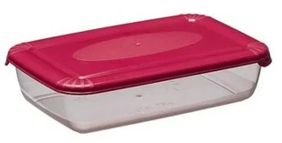 Plast Team poland Pojemnik Na Żywność Prostokąt Polar 0,45 PlastTeam PT16700803 - Pojemniki kuchenne - miniaturka - grafika 2