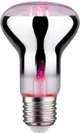 Żarówki LED - Paulmann Lampa do doświetlania kwiatów E27 R63 6,5W - miniaturka - grafika 1