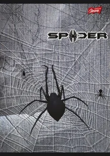 St. Majewski ZESZYT BAMBINO A4 32 KARTEK LINIA LAMINOWANY 02015 AP02015 - Zeszyty szkolne - miniaturka - grafika 2