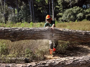 Oleo-Mac GS 630 PROFI 50029127E5 - Piły spalinowe - miniaturka - grafika 8