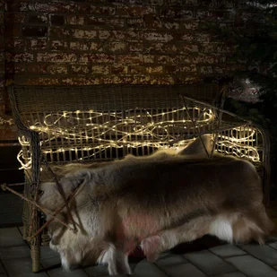 Konstsmide Wąż świetlny LED Mini 260, ciepłobiałe światło - Pozostałe oświetlenie - miniaturka - grafika 2