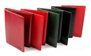 Wilmar (PL) Etui Na Dokumenty (PL) Duże Trzy Części - Etui na dokumenty i karty - miniaturka - grafika 2