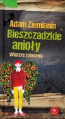 Aforyzmy i sentencje - Bieszczadzkie Anioły Adam Ziemianin - miniaturka - grafika 1