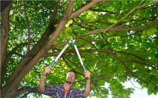 GARDENA Nożyce do gałęzi EasyCut 680 B 12003-20 12003-20 - Nożyce i sekatory - miniaturka - grafika 3