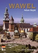 Albumy krajoznawcze - Biały Kruk Jan K. Ostrowski Wawel (wersja niemiecka) - miniaturka - grafika 1