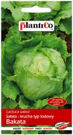 Nasiona i cebule - Plantico Sałata krucha Bakata - miniaturka - grafika 1