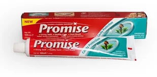Dabur Promise Goździkowa Pasta Do Zębów 100ml - Pasty do zębów - miniaturka - grafika 2