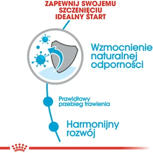 Royal Canin Mini Puppy 2 kg - Sucha karma dla psów - miniaturka - grafika 5