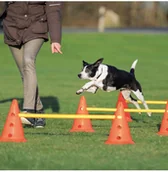 Artykuły szkoleniowe - Trixie Tor przeszkód dla psa Dog Activity zestaw 3 części - miniaturka - grafika 1