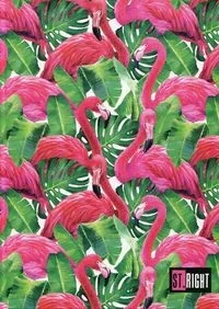 St. Majewski Brulion A4 96k kratka twarda opr.p5 ST.RIGHT QR-2296 - Artykuły biurowe - miniaturka - grafika 2