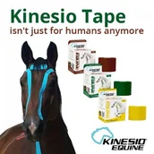 Akcesoria do hodowli zwierząt - Oryginal Kinesio Tape dla koni i innych zwierząt (Equine) 850989002591 - miniaturka - grafika 1