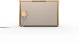 Bang & Olufsen BeoSound Level Gold Tone Light Oak Jasny dąb - Głośniki i kolumny - miniaturka - grafika 5