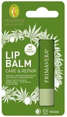 Balsamy do ust - Lip Balm Primavera Regenerujący balsam do suchych ust Care & Repair 4,6 g - miniaturka - grafika 1
