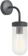 Lampy ścienne - Rabalux 3310 - Kinkiet łazienkowy YAGO 1xE27/60W/230V IP44 czarny - miniaturka - grafika 1