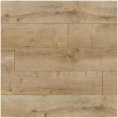 Panele podłogowe - Classen Panele podłogowe DĄB BAJKAŁ AC5 8 mm - miniaturka - grafika 1