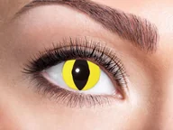 Dodatki do strojów karnawałowych - Congee.pl Soczewki kontaktowe Kot - 3 miesięczne Z-M10 - miniaturka - grafika 1