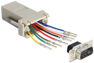 Delock Adapter D-Sub9 / RJ45 65462 - Adaptery i przejściówki - miniaturka - grafika 2