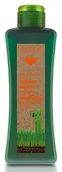 Szampony do włosów - Salerm SALERM BIOKERA Szampon chroniący kolor 300ml 0000050017 - miniaturka - grafika 1