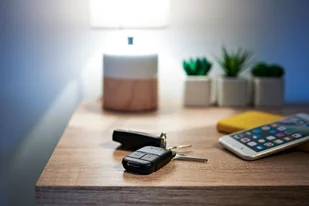 Somfy Pilot do bramy Keypop 2 RTS 2401539 433,42MHz dwukanałowy umożliwiający sterowanie bramami drogą radiową 2401539 - Akcesoria do bram Somfy Pilot do bramy Keypop 2 RTS 2401539 433,42MHz dwukanałowy umożliwiający sterowanie bramami drogą radiową 2401539 - Akcesoria do bram - miniaturka - grafika 3