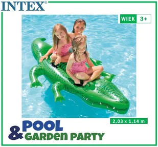 Intex Basenowy nadmuchiwany zwierzak Aligator - Akcesoria do basenów - miniaturka - grafika 3