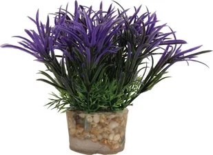 Zolux Roślina mała z zestawu nr 2 - Dekoracje do akwarium - miniaturka - grafika 2